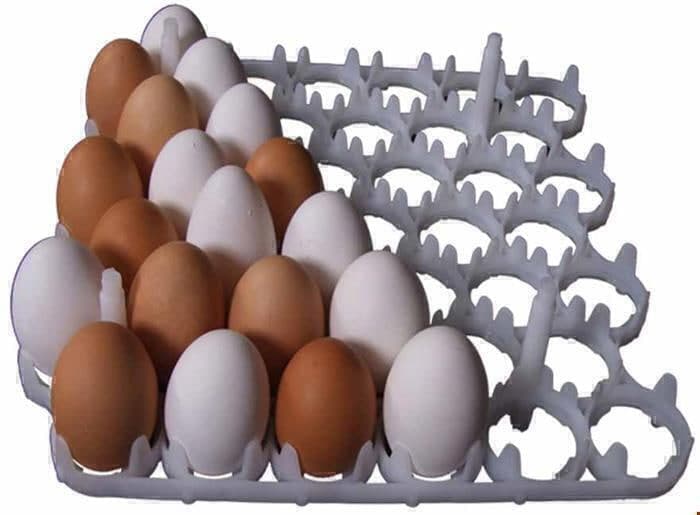 تصویر 1 از شانه تخم مرغ محافظت حمل آسان